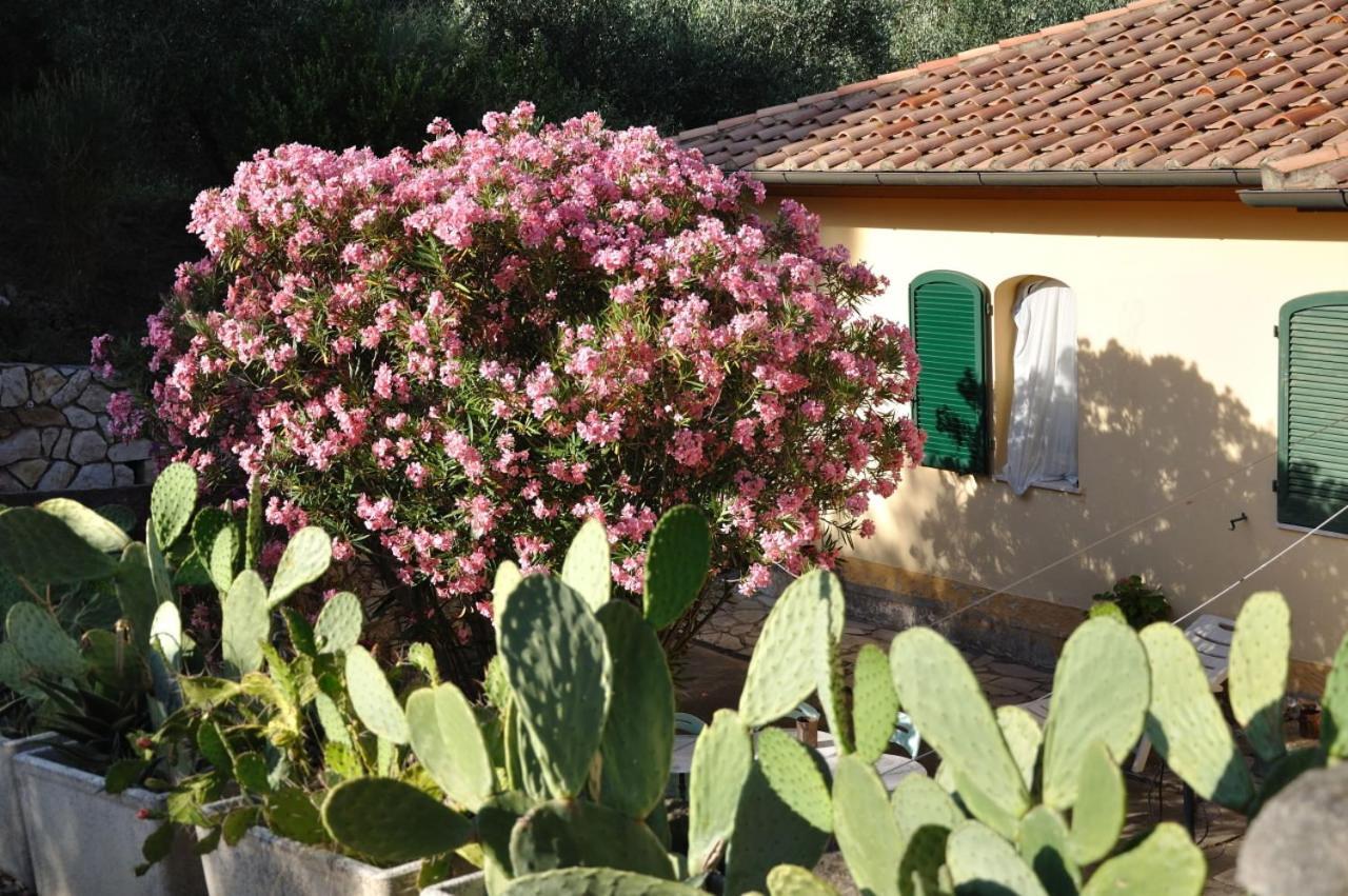 Villa Gualdo Piscina Vista Mare Capoliveri  Exterior foto
